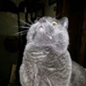 Meet your Posher, Joanne